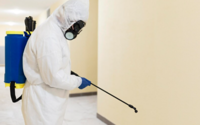 All Seasons Pest Control