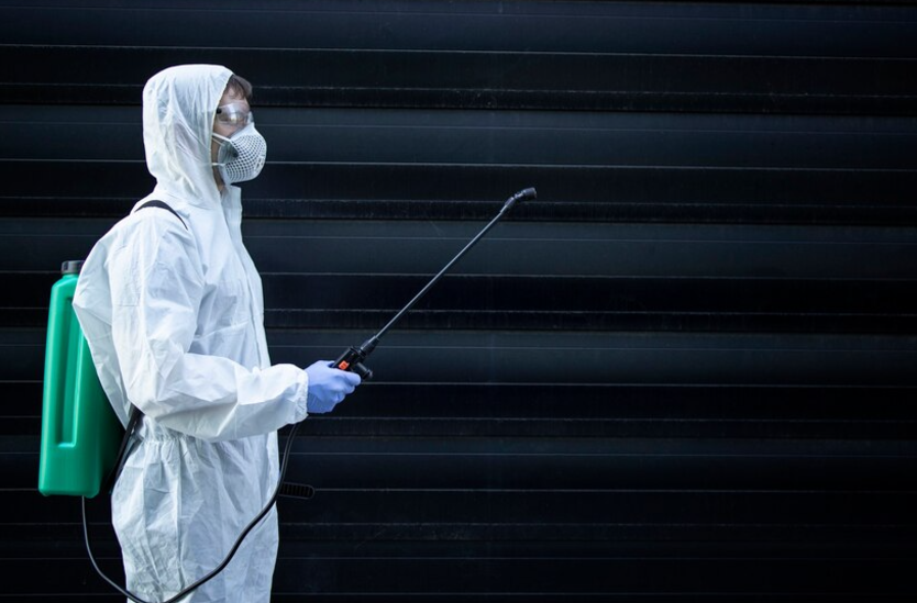 Pest Control North Las Vegas