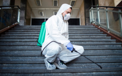 Pest Control Companies