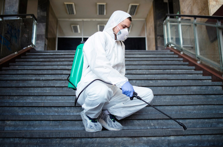 Pest Control Companies